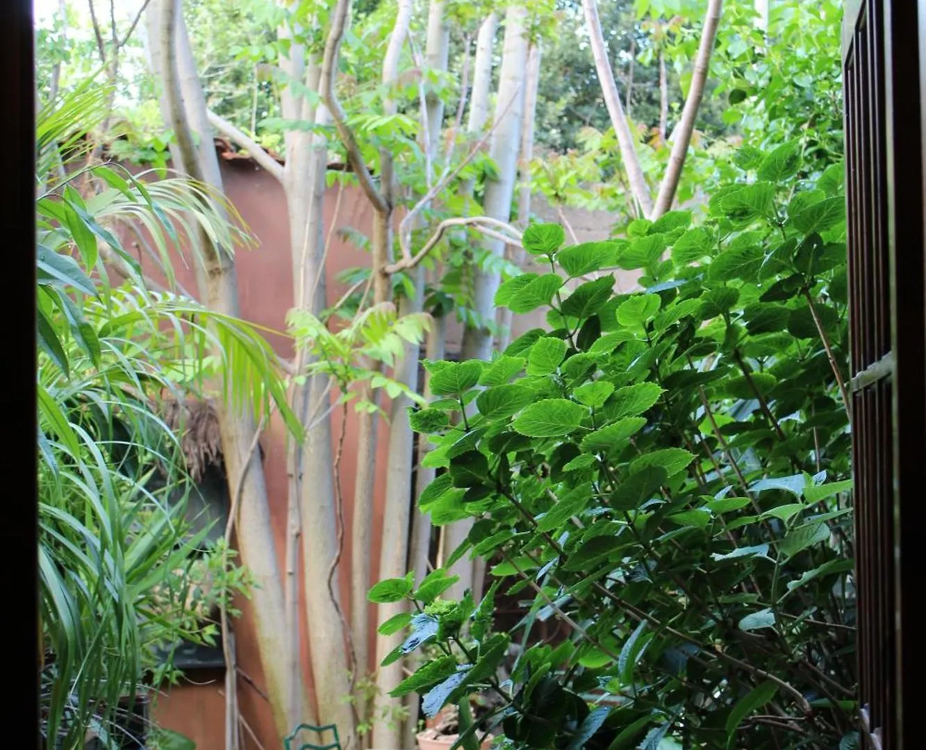 Il Giardino Di Chiara Bed & Breakfast Oristano
