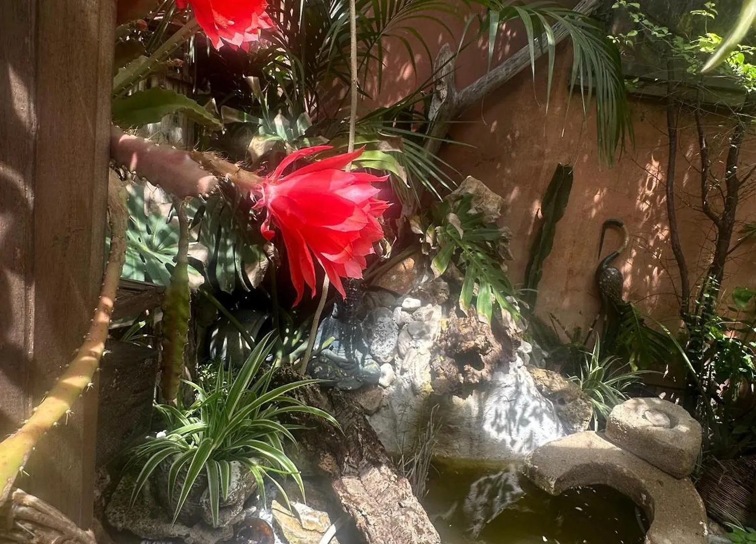 Il Giardino Di Chiara Bed & Breakfast Oristano 0*,