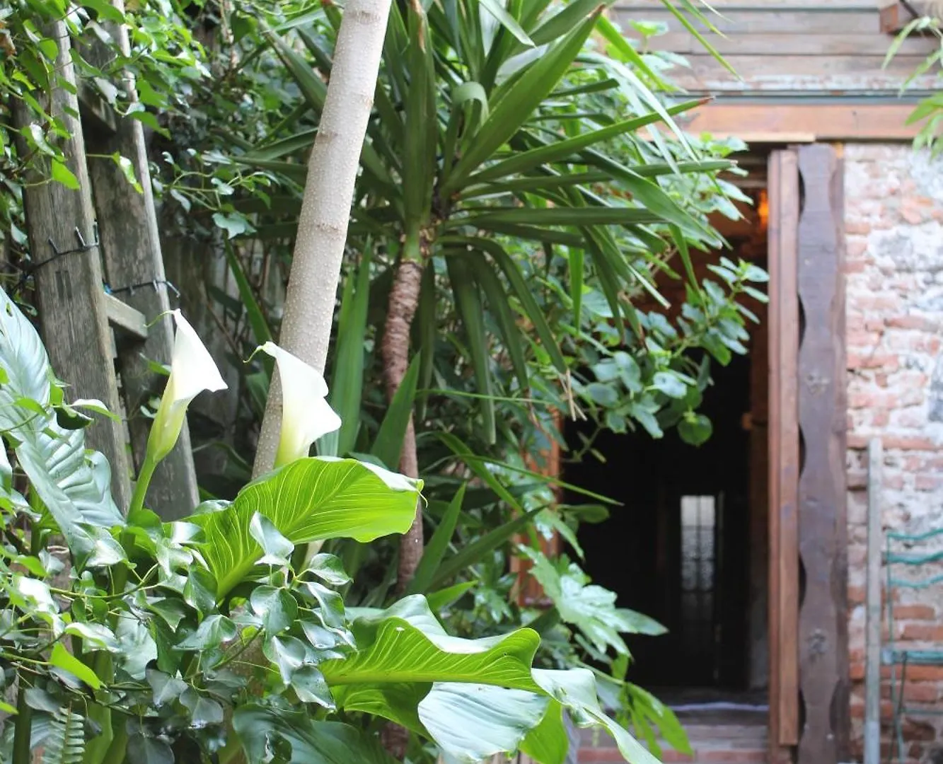 Il Giardino Di Chiara Bed & Breakfast Oristano