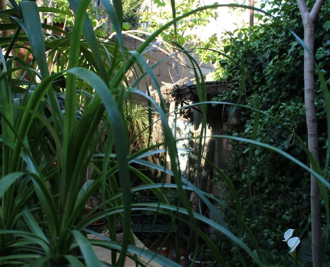 Il Giardino Di Chiara Bed & Breakfast Oristano
